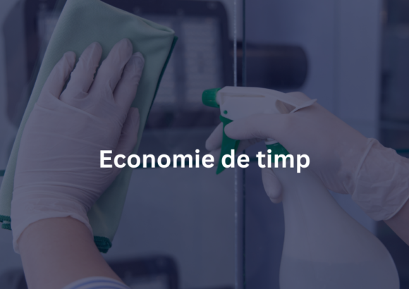 Curățenie birouri / industrială