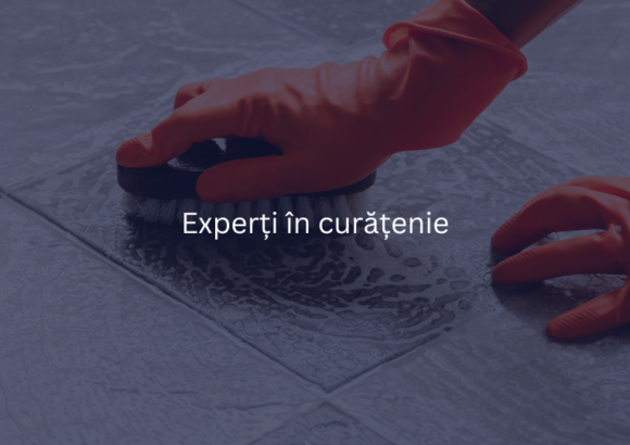 Curățenie după petreceri